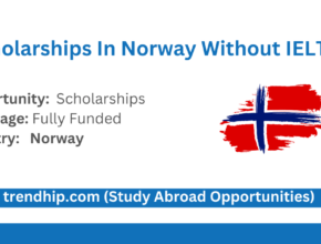 Scholarships In Norway Without IELTS