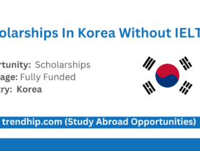 Scholarships In South Korea Without IELTS