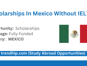 Scholarships In Mexico Without IELTS