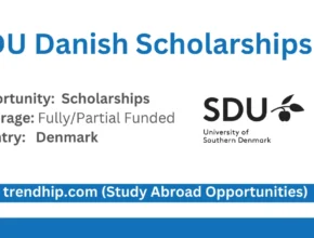 Danish Government Scholarships